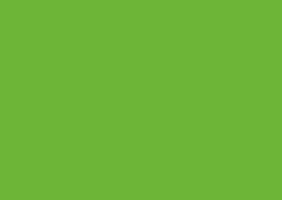 Mamba green 7190