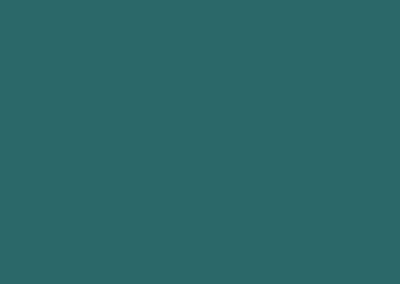 Petrol 244 SU